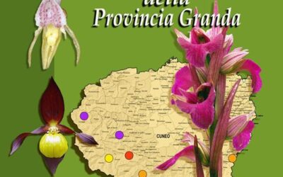 Presentazione del libro “LE ORCHIDEE SPONTANEE DELLA PROVINCIA GRANDA” a San Michele di Prazzo il 16 agosto