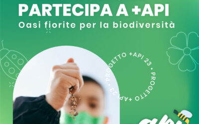 PROGETTO +API – OASI FIORITE: un piccolo aiuto per la biodiversità anche in Valle Maira