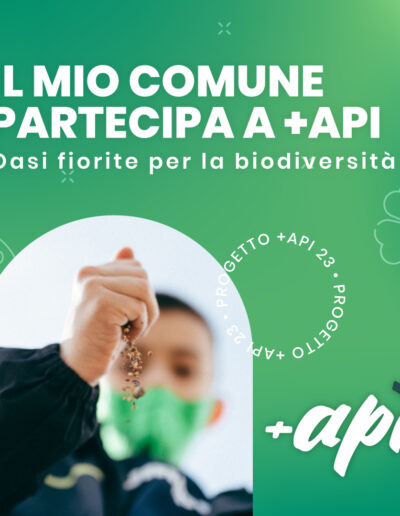 PROGETTO +API – OASI FIORITE: un piccolo aiuto per la biodiversità anche in Valle Maira