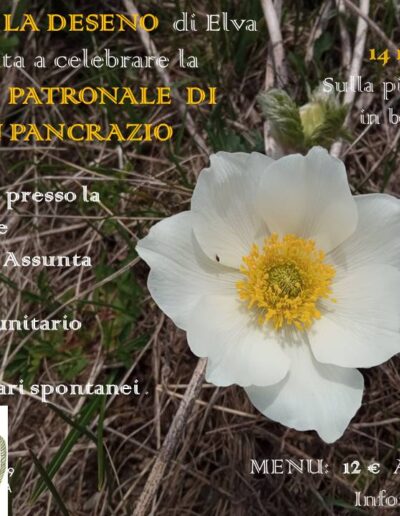Celebrazioni per la festa patronale di SAN PANCRAZIO  a Elva, domenica 14 maggio