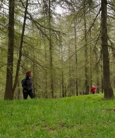 A Elva sabato 4 luglio 2° appuntamento con il Laboratorio di Terapia Forestale previsto nel progetto RiattivaMenti